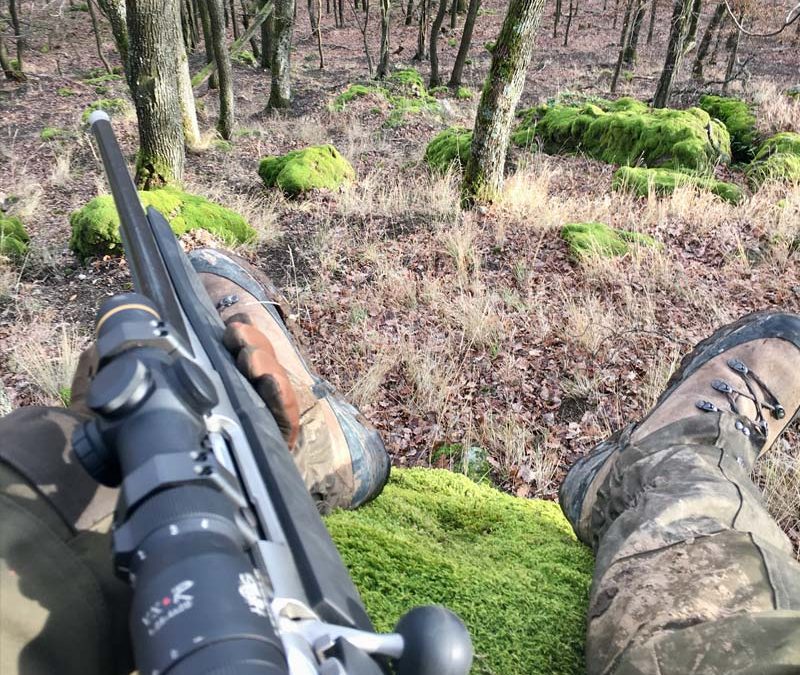 Hunting stand in Hungary on driven boar hunt